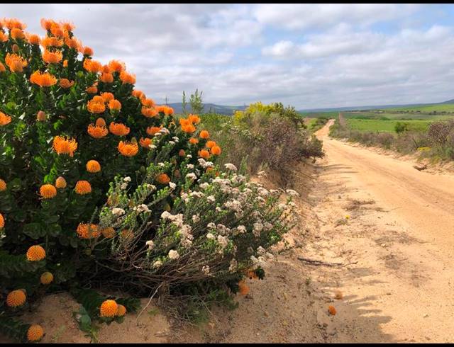 FARM FOR SALE IN GANSBAAI RURAL